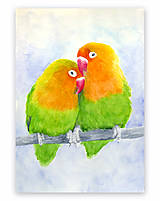Papagáje - akvarel 