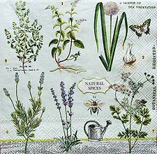 Papier - S1230 - Servítky - bylinky, levandula, herbs, herbár, motýľ - 9592301_