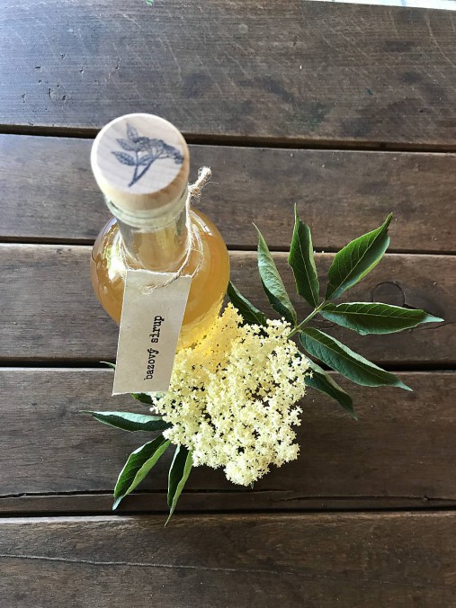 Sirupy - Bazový sirup (750ml) - 9612454_