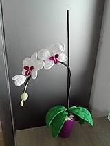 Dekorácie - Orchidea - 9634242_