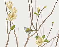 Grafika - TENNESSEE WARBLER ON TWIG WITH MAGNOLIA - 9646152_