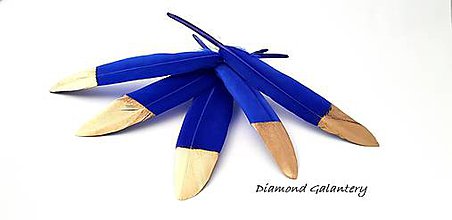 Galantéria - Dekoračné pierka modro zlaté - 9657516_