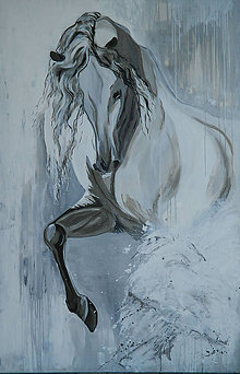 Obrazy - biely kôň/white horse - 9666516_
