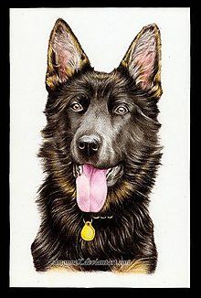 Obrazy - Farebný portrét psíka na objednávku - 9702225_
