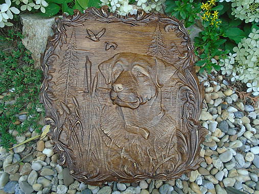 Obrazy - Pes - 9714290_