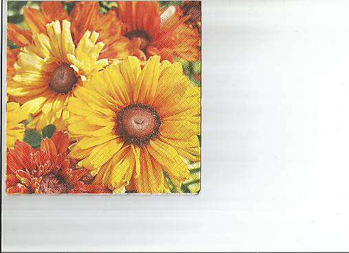  - Gerbera 1 - 9722456_