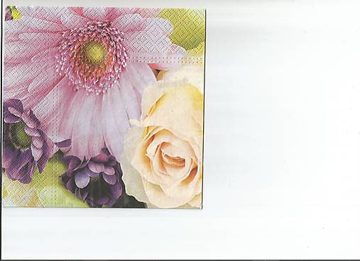  - Gerbera 3 - 9722489_