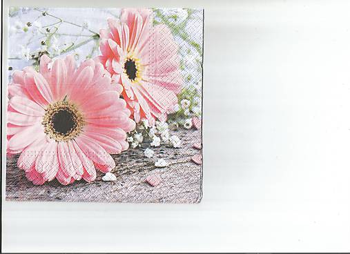  - Gerbera 5 - 9722493_