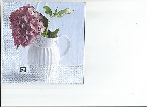  - Hortenzia 1 - 9722664_