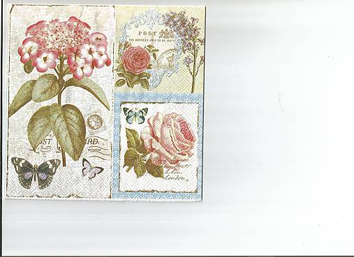  - Hortenzia 4 - 9722682_