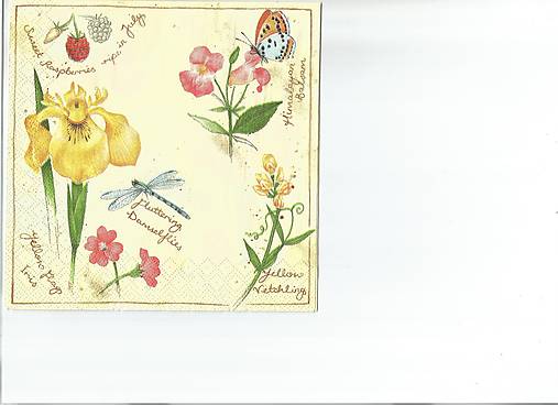 - Lúčne kvety 9 - 9722915_