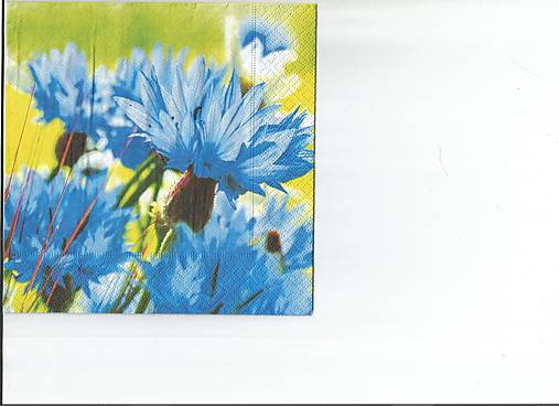  - Nevädza 2 - 9722928_