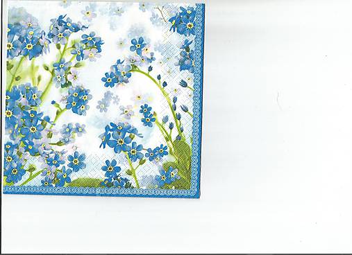  - Nezábudka 1 - 9722930_