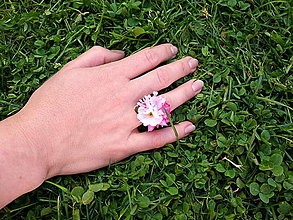 Prstene - zapadlý v trávě - 9722034_