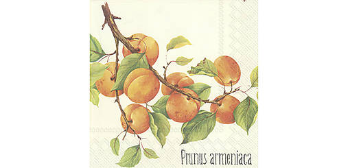  - Servítka "Prunus Armeniaca cream" - 9722290_
