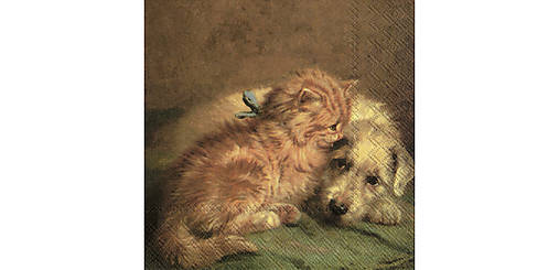  - Servítka "Dog & cat", ihneď - 9722674_