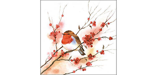  - Servítka "Birdy Robin", ihneď - 9722751_
