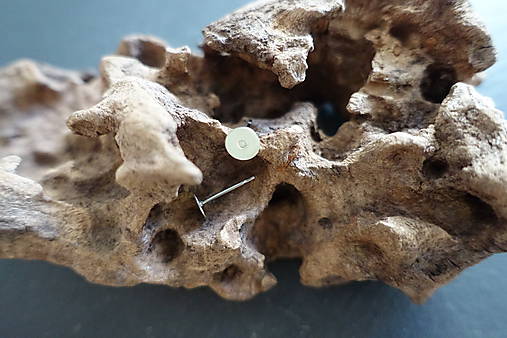 Komponenty - Puzeta vlepovacia 4/6 x 12mm - 9725854_