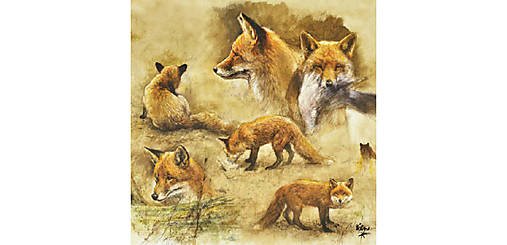  - Servítka "Portraits of foxes", ihneď - 9729954_