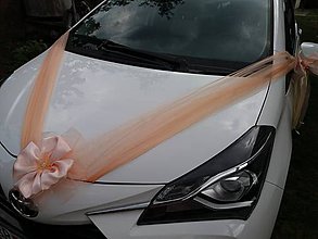 Dekorácie - Marhulková výzdoba svadobného auta - 9773921_