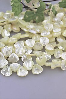 Minerály - Perleťové lístky - perleť korálky - 9783409_