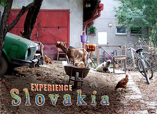 Magnetka Experience Slovakia!