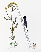  - Mačka, rebrík,  rebríček   koláž / originál maľba  - 9844865_