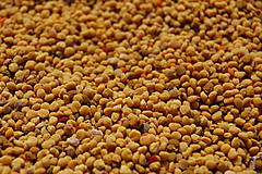 Včelie produkty - Včelí peľ - 9863763_