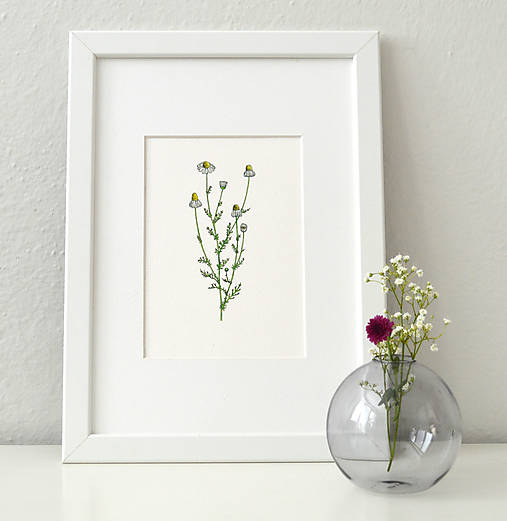 Kresby - Rumanček vo farbách - 9965929_