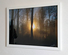 Dekorácie - Obrázok na stenu 43x33 cm (Hmlistý lesný sen) - 9979561_