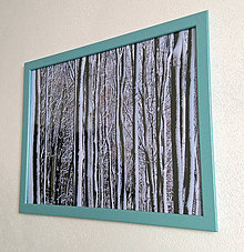 Dekorácie - Obrázok na stenu 43x33 cm (Zimný les) - 9979619_