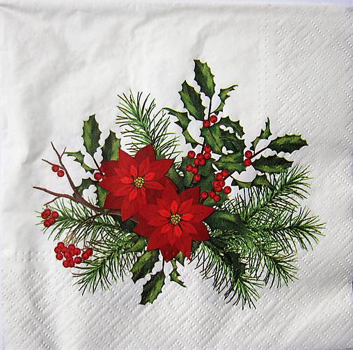Papier - Servitka Z 113-akcia - 10028193_