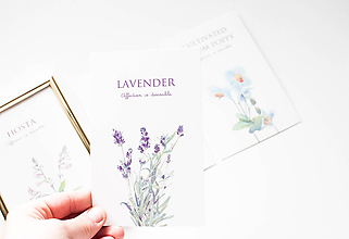 Grafika - Botanical - affection is desirable (Lavender.) - 10056011_