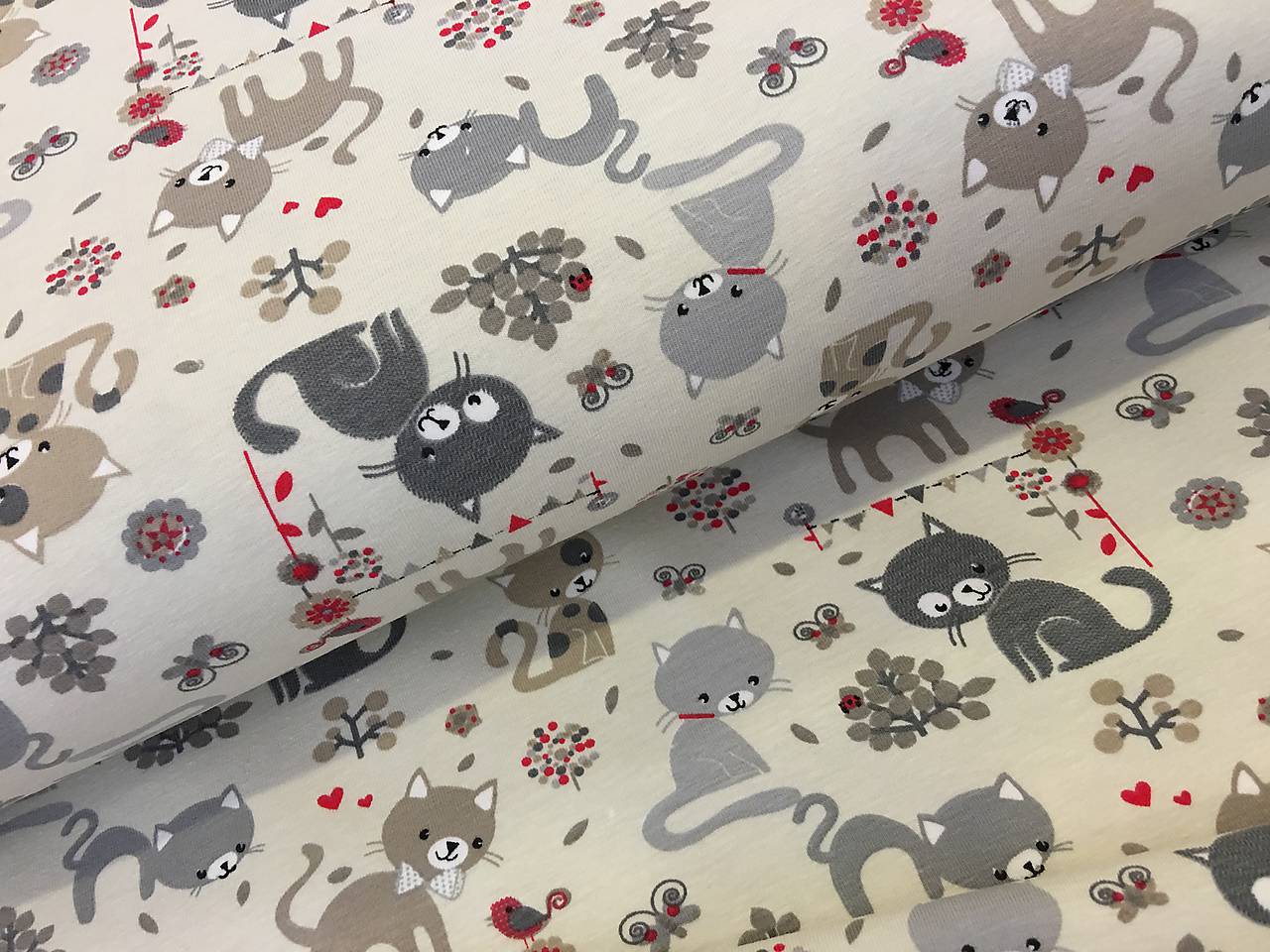 UPLET dovoz Francúzsko mačička 