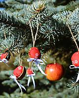 Dekorácie - Vianočná ozdoba - orechy červené - 10129784_