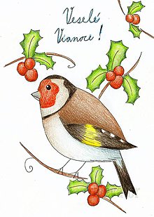 Papiernictvo - Vianočná pohľadnica vtáčik (Červienka obyčajná) - 10160873_