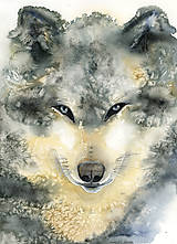  - Vlk, akvarel výtlačok ( art print) + originál - 10211015_