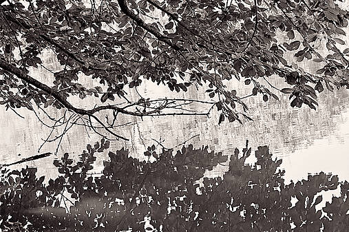 Fotografie - Flora 9405 >> Originálna fotografia na fine-art papieri - 10232514_