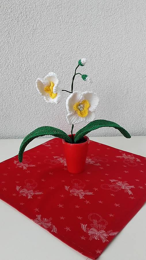  - Orchidea biela malá  - 10250245_