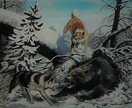 Obrazy - Medveď bojuje o život - 10257778_