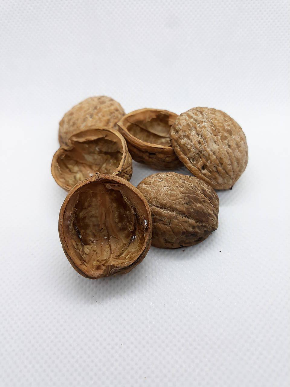 Orechové škrupiny (3 x 2.5 cm)