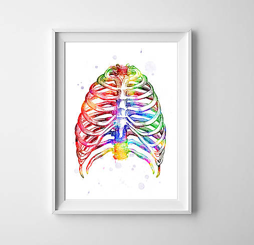 - Anatómia hrudníka (A2 - 420 mm x 594 mm) - 10267221_