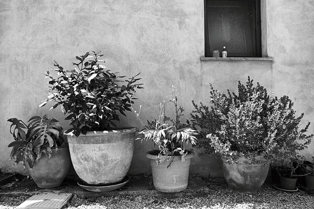 Sicilia 8819 >> Originálna fotografia na fine-art papieri