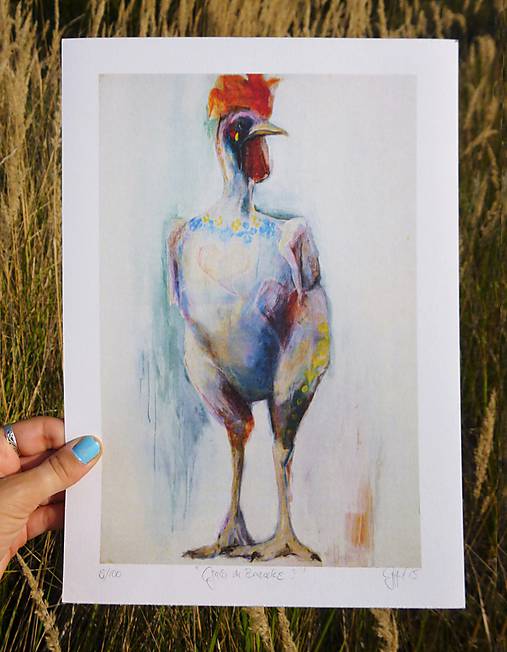 Grafika - Galo de Barcelos I - 10312439_