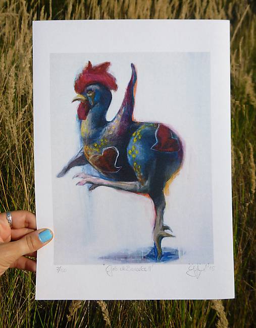 Grafika - Galo de Barcelos II - 10312487_