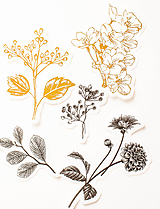 Papier - Set nálepiek "Botanická Zlatá" - 10319753_