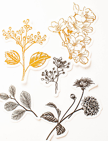 Papier - Set nálepiek "Botanická Zlatá" - 10319753_