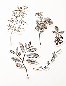 Papier - Set nálepiek "Botanická Zlatá" (B. Black) - 10319771_