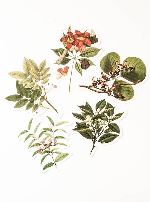 Papier - Set nálepiek "Botanický atlas" - 10332619_
