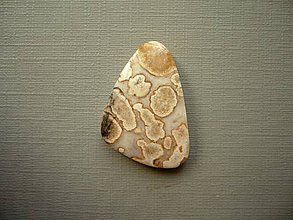 Minerály - Kabošon jaspisu cobra 26 mm, č.12f - 10342463_